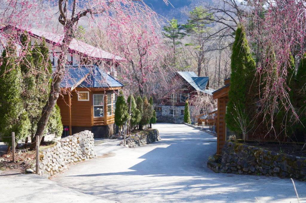 Hakuba Canadian Lodge Esterno foto